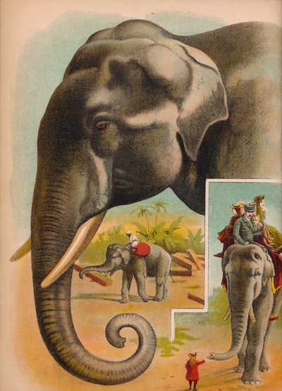 Der Elefant, ca. 1900 von Helena J. Maguire