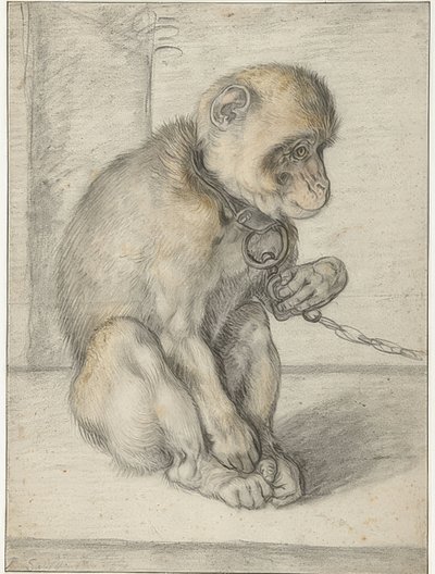 Ein sitzender Affe an einer Kette von Hendrik Goltzius