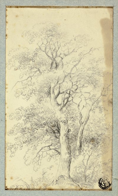 Baum von Hendrik Pieter Koekkoek