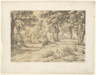 Waldansicht von Hendrik Voogd
