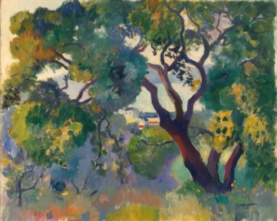 Landschaft bei St. Tropez von Henri Charles Manguin