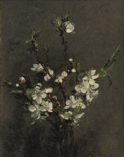 Obstbaumblüten von Ignace Henri Jean Fantin Latour