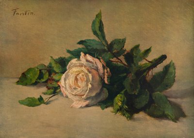 Weiße Rose, um 1863, 1938 von Ignace Henri Jean Fantin Latour