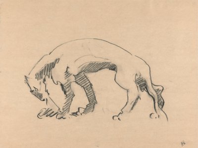 Löwin im Profil von Henri Gaudier Brzeska