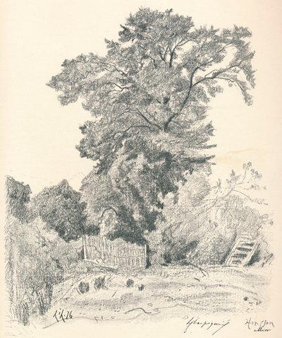 Studie von Bäumen, ca. 1839-1898, 1898 von Henri Joseph Harpignies