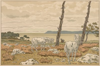 Aspekte der Natur: Die Bucht von Henri Rivière