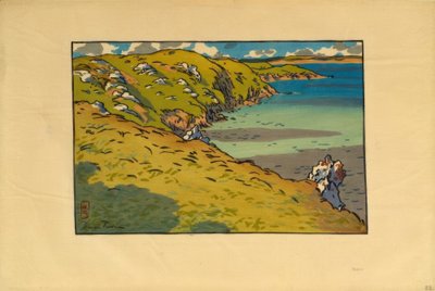 Baie de la Fresnaye (Saint-Cast) von Henri Rivière