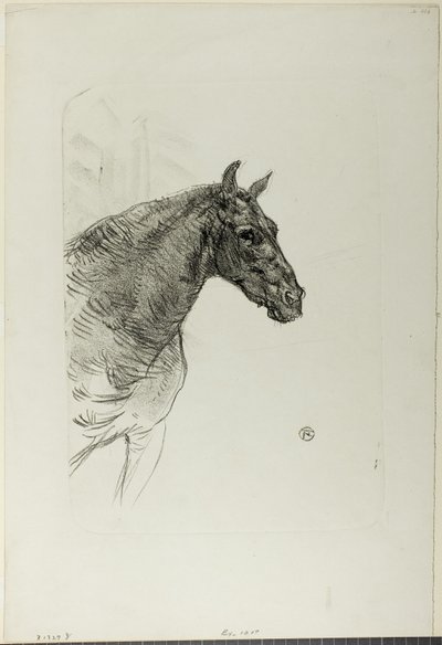 Philibert das Pony von Henri de Toulouse Lautrec