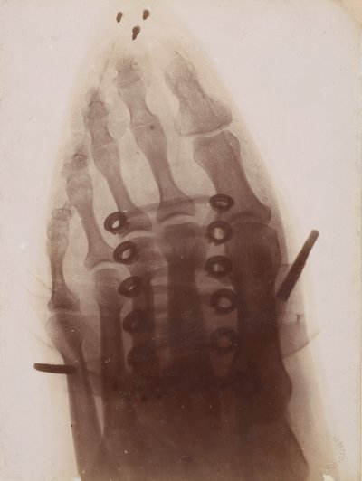 Der Fuß durch den Schuh von Henri van Heurck
