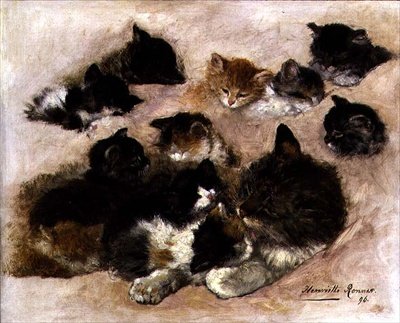 Studie von Katzen und Kätzchen von Henriëtte Ronner Knip