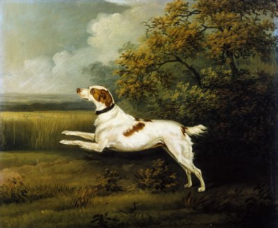 Ein Springer Spaniel in einer Landschaft von Henry Bernard Chalon