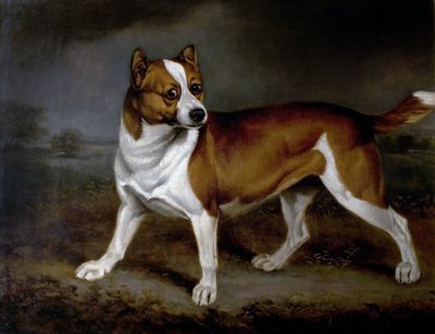 Brennnessel, 1812 von Henry Bernard Chalon