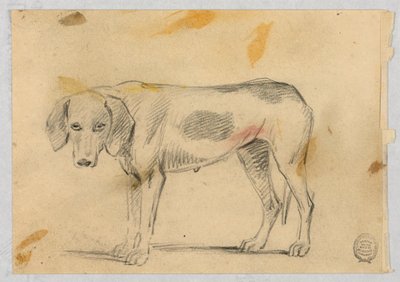 Studien von zwei Windhunden von Henry Bernard Chalon