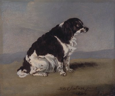 Der Spaniel der Herzogin von York von Henry Bernard Chalon