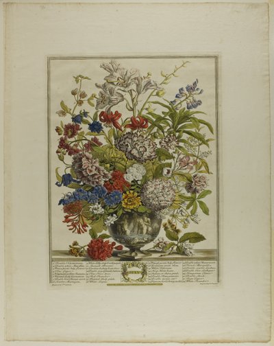 Juli, aus Zwölf Monate Blumen von Henry Fletcher