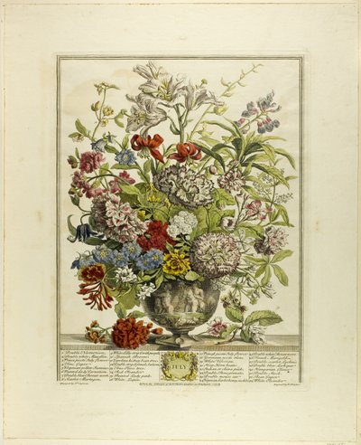 Juli, aus Zwölf Monate der Blumen von Henry Fletcher