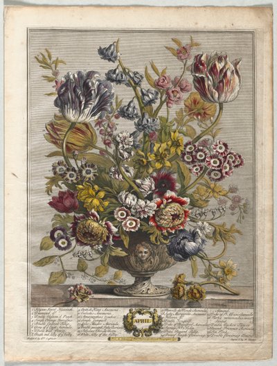 Zwölf Monate der Blumen: April von Henry Fletcher