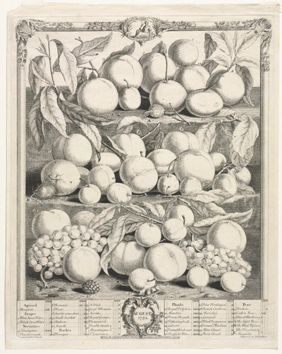 Zwölf Monate Obst: August, 1732 von Henry Fletcher