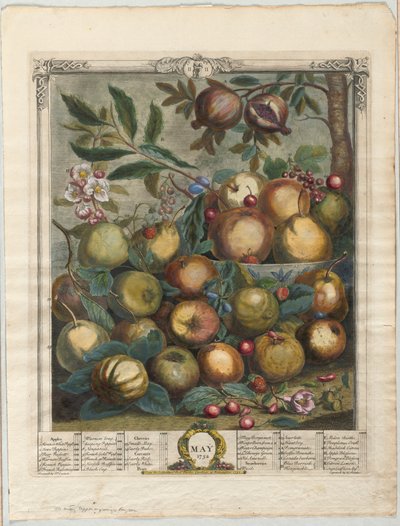 Zwölf Monate Obst: Mai von Henry Fletcher