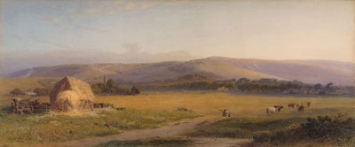 Weiden der South Downs, 1867 von Henry George Hine