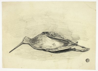 Totes Moorhuhn von Henry Lejeune