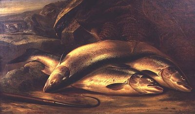 Stillleben mit Lachs von Henry Leonidas Rolfe
