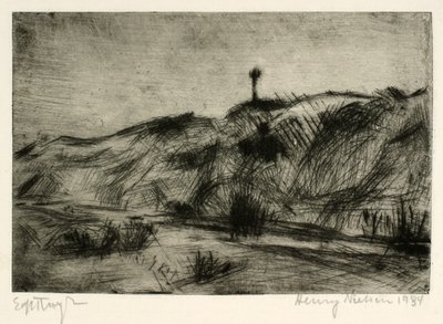 Dünenlandschaft mit Seezeichen von Henry Nielsen