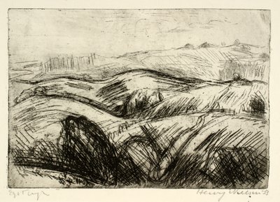 Stark hügelige Landschaft von Henry Nielsen