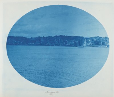 Savanna, Ill. von Henry Peter Bosse