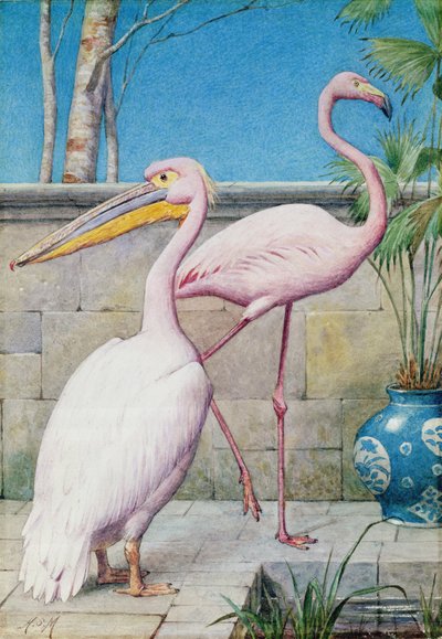 Pelikan und Flamingo von Henry Stacey Marks