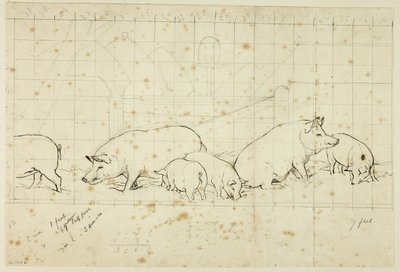 Schweine von Henry Stacy Marks