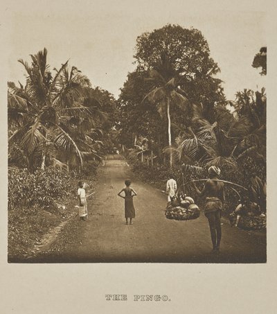 Der Pingo von Henry W. Cave