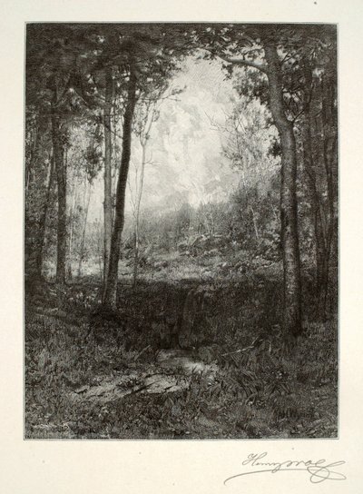 In den Adirondacks von Henry Wolf