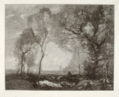 Landschaft von Henry Wolf