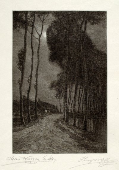 Mondschein in Holland von Henry Wolf