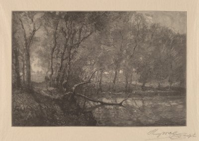 Der Mühlenteich von Henry Wolf