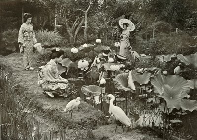 Im Lotus-Land, 1910 von Herbert Ponting