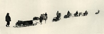 Ponys auf dem Marsch, 1911, 1913 von Herbert Ponting