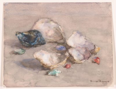 Muscheln am Strand von Herman Bogman (signed by artist)