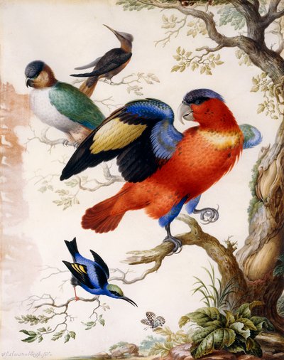 Vier Vögel im Wald von Herman Henstenburgh