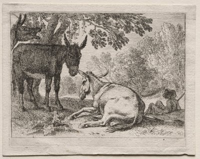 Esel von Herman van Swanevelt