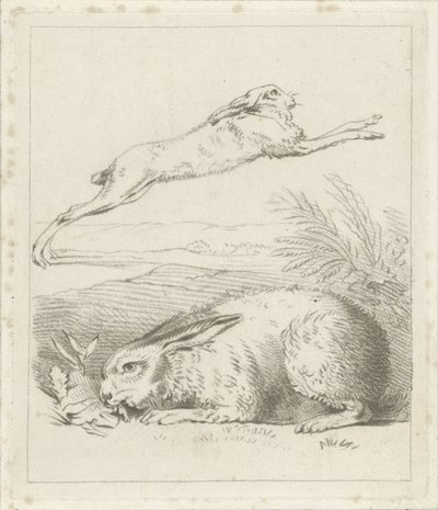 Hase und Kaninchen von Hermanus Numan