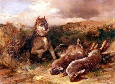 Ein West Country Terrier mit Wild von Heywood Hardy