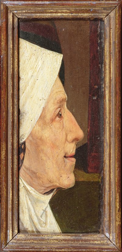 Kopf einer alten Frau von Hieronymus Bosch