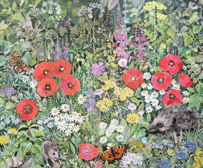 Igel zwischen den Blumen von Hilary Jones