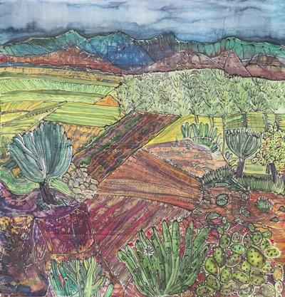 Oaxaca Landschaft von Hilary Simon