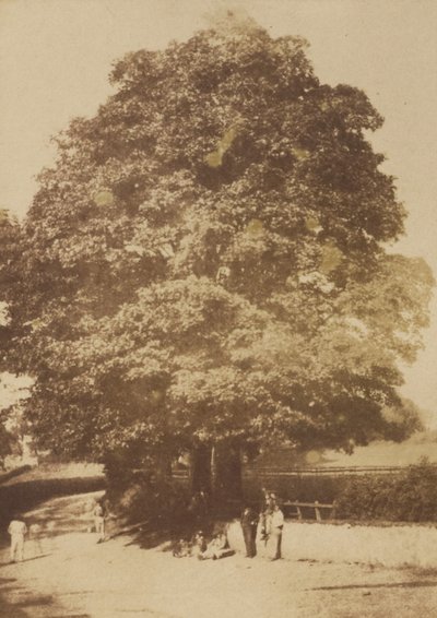Roslin von Hill and Adamson