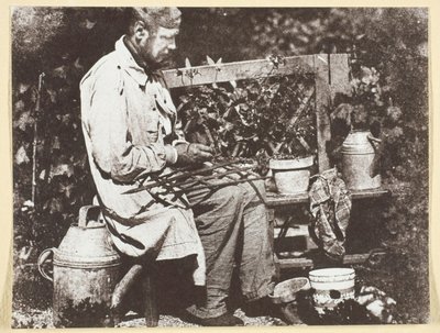Bayard Jardinier von Hippolyte Bayard