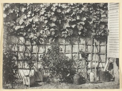 La Treille von Hippolyte Bayard