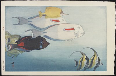 Das Honolulu Aquarium von Hiroshi Yoshida